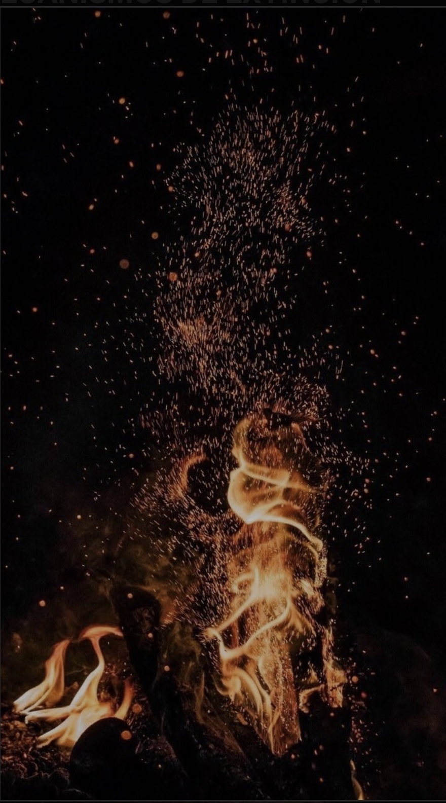 EL FUEGO Y LOS MECANISMOS DE EXTINCIÓN
