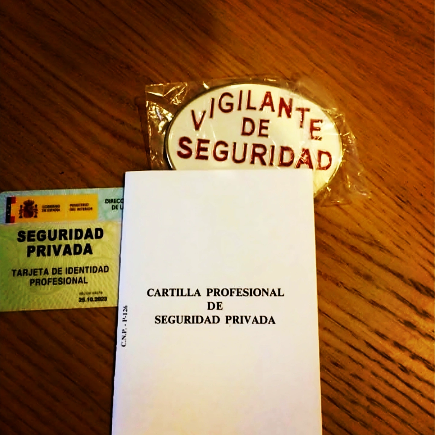 LA DEONTOLOGÍA FORMATIVA EN SEGURIDAD PRIVADA: UNA ADVERTENCIA ACADÉMICA FRENTE AL INTRUSISMO Y EL FRAUDE.