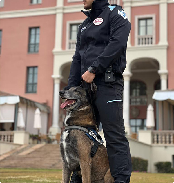 SERVICIO DE VIGILANCIA CON PERROS