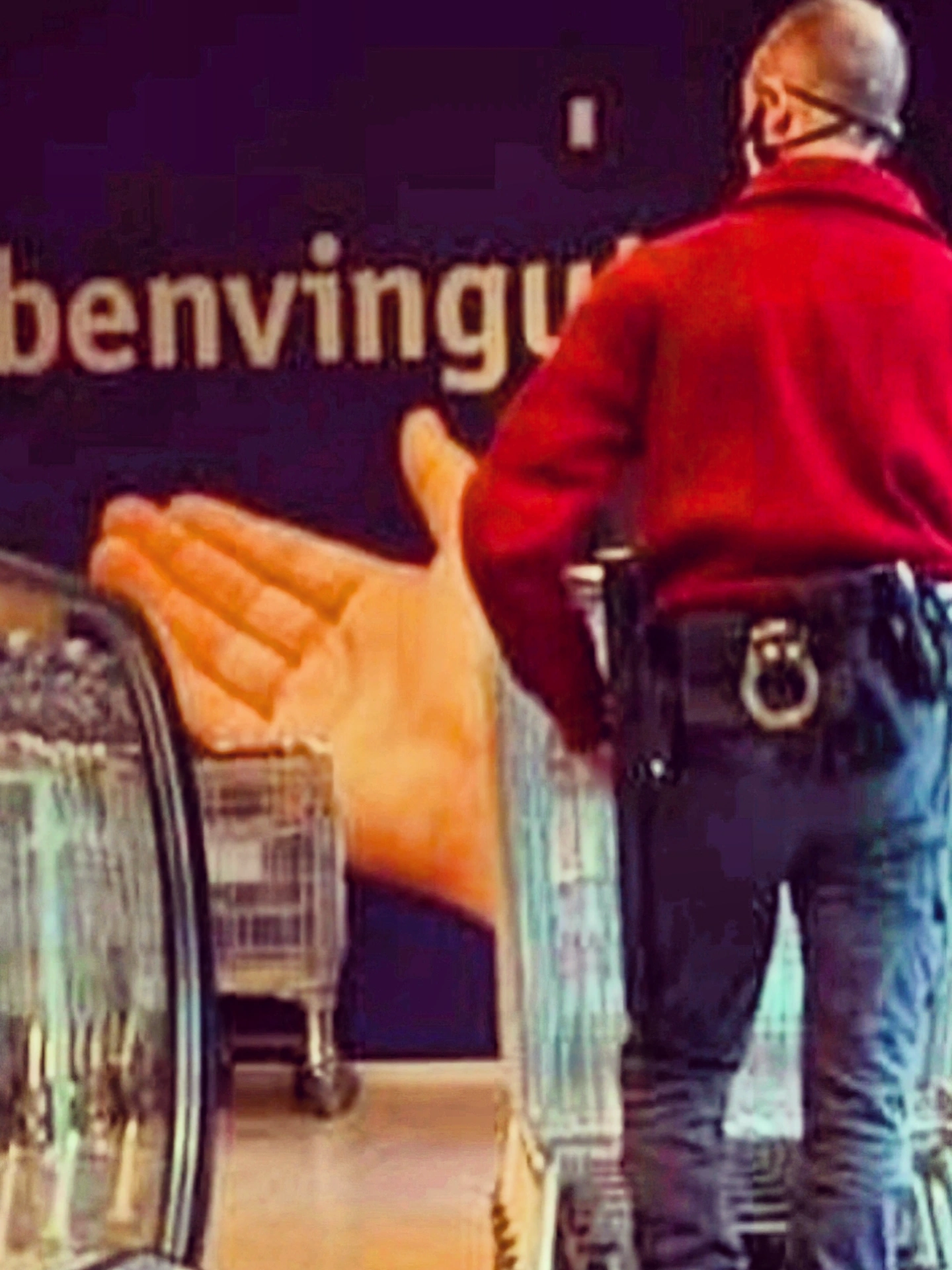 LA AUTODESVALORIZACIÓN EN SEGURIDAD PRIVADA. EL PELIGRO DE LA EXTRALIMITACIÓN DE FUNCIONES.